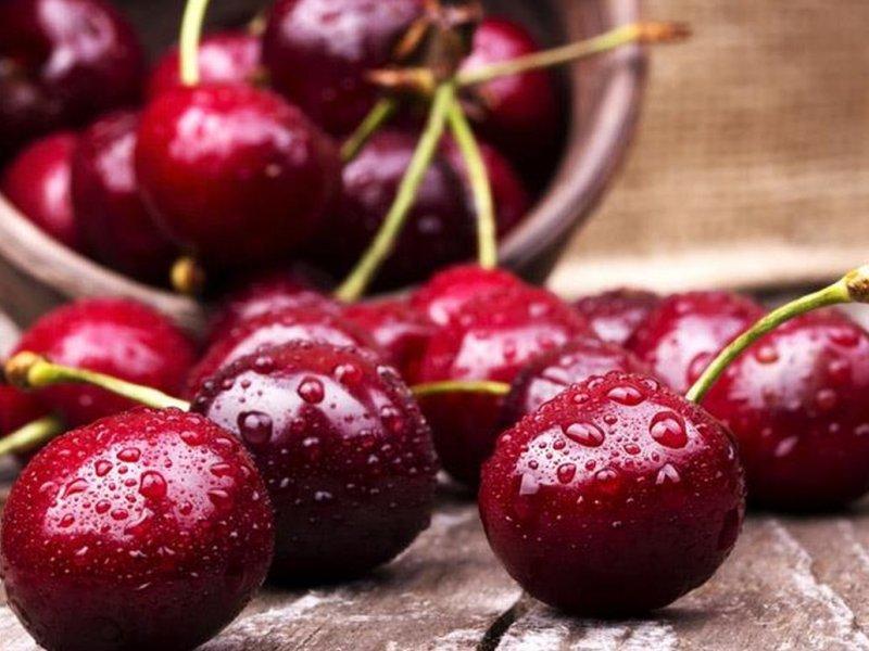 Вишня купить саженцы из питомника в Реутове
